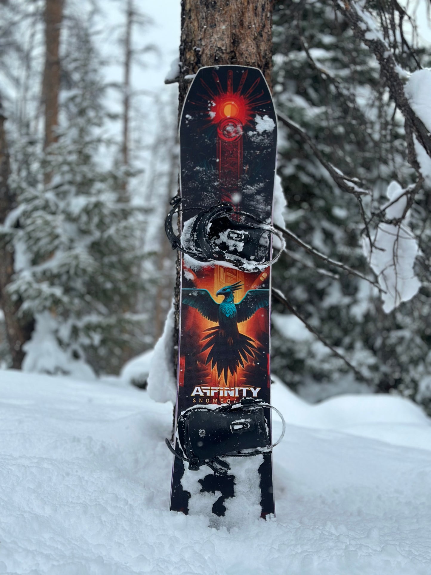 Men's Affinity 23-24 Condor Freeride Snowboard